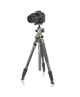 Pentax Smc Da-l 50-200mm f/4-5.6 Ed Lens with Alta Pro 2+ 264AB 4-Section Aluminum Tripod