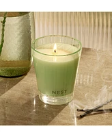Nest New York Wellness Cucumber & White Sage Classic Candle, 8.1 oz.