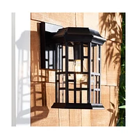 Carwen 8.46" Outdoor Sconce
