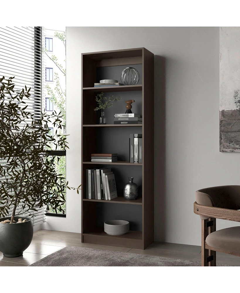 Dam Bookcase with Open Storage and 5 Shelves, Stained Walnut