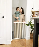 Ingenuity Baby The Stairway 42W Series Safety Baby and Dog Gate