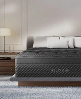 Brooklyn Bedding Helix Midnight Elite 15 Medium Firm Euro Pillow Top Mattress Collection