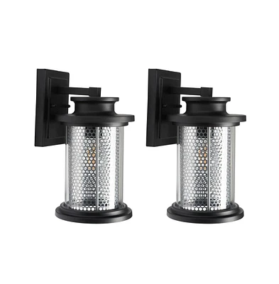 Queren 7.67" Outdoor Sconce