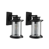 Queren 7.67" Outdoor Sconce