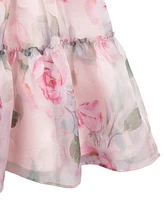 Rare Editions Big Girls Floral Organza Party Dress