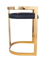 Industrial Counter Height Bar Chair with Iron Frame and Low Back