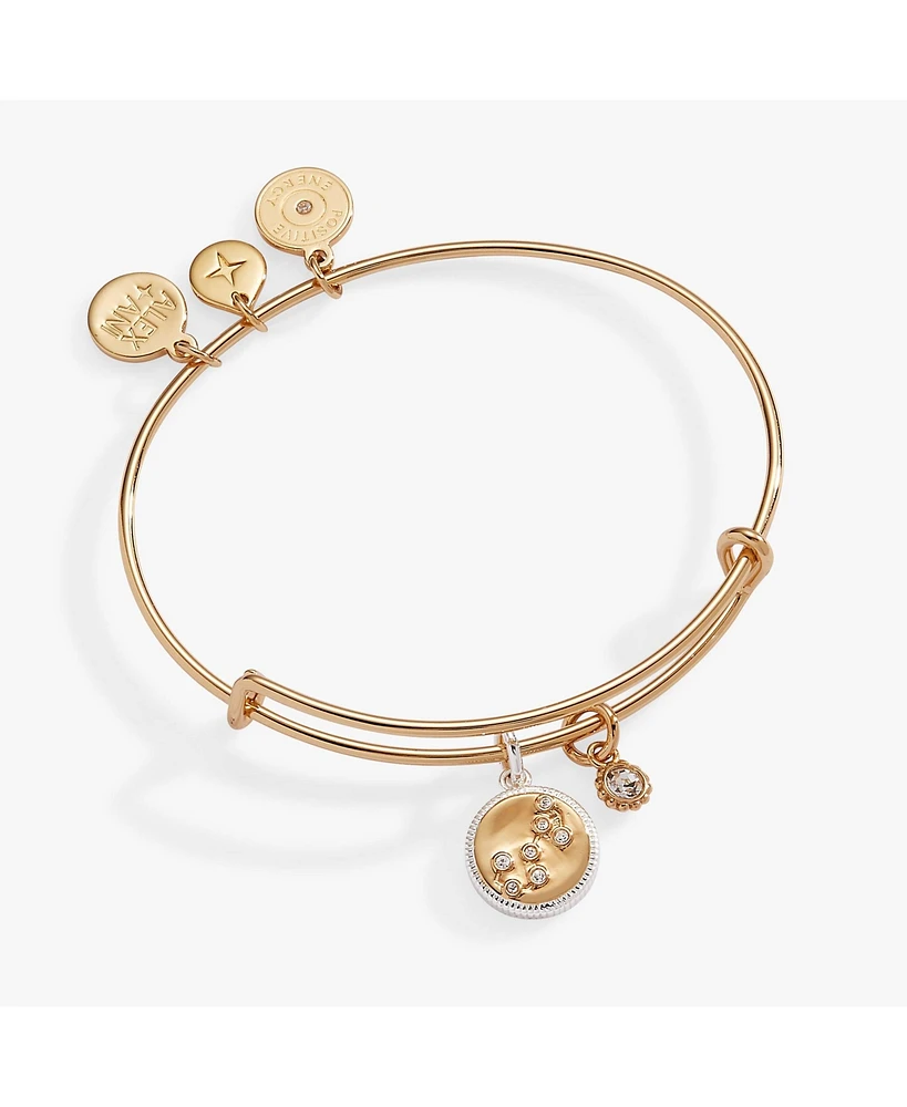 Zodiac Bangle Bracelet Scorpio