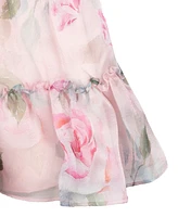 Rare Editions Toddler and Little Girls Floral Organza Party Dress