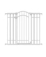 Ingenuity Baby The Doorway 48W Series Pet and Baby Gate