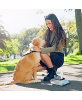 Precious Tails 110pc. Pet Wipes for Dog Cleaning Deodorizing Paws, Butt, Body, Extra Gentle with Aloe & Vit. E