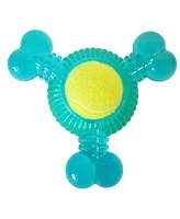 Tennis ball variety pack- boomerang, squeaker, three prong