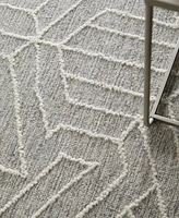 Thom Filicia for Feizy Emerson T8015 3'6''x5'6'' Area Rug