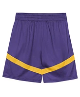 Nike Preschool 2-Piece Purple Los Angeles Lakers Mesh Tank Top and Shorts Set