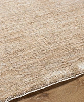 Livabliss Masterpiece Mpc-2320 10'x13'11" Area Rug
