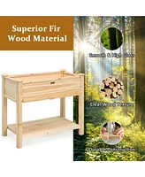 Raised Garden Elevated Wood Planter Box Stand
