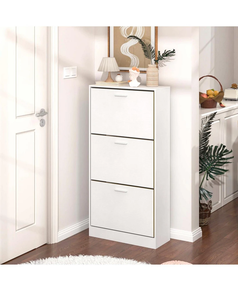 Modern Shoe Cabinet: Upscale 3-Drawer Design