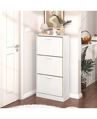 Modern Shoe Cabinet: Upscale 3-Drawer Design