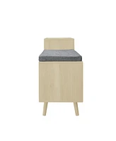 2 door shoe cabinet with 1 drawer, Freestanding Modern Shoe Storage Cabinet, for Entryway