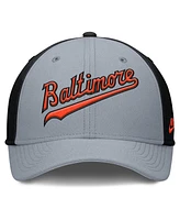 Nike Men's Gray/Black Baltimore Orioles Rise Swoosh Performance Flex Hat