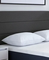 Comfort Tech Down Alternative Pillow, Standard/Queen