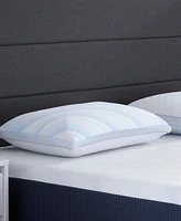 Comfort Tech Dual Comfort Foam Pillow, Standard