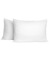 Swift Home Sanctuary 2-Pack Pillow, Standard