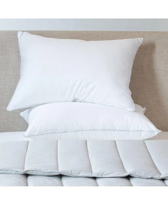 2 Pack Soft Down Alternative Bed Pillow - Standard/Queen