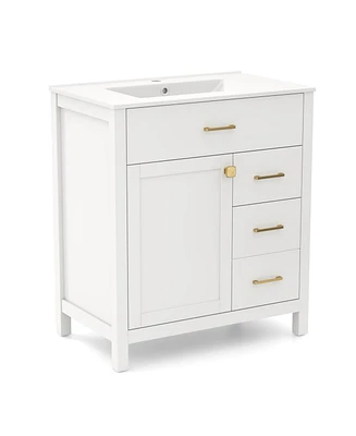 Single Bathroom Vanity with 2 Drawers and 1 Door