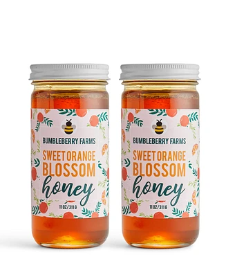 Bumbleberry Farms Orange Blossom Honey Set of 2