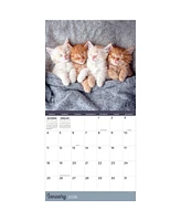 2026 Cat Dreams Wall Calendar