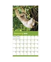 2026 Sloths Wall Calendar