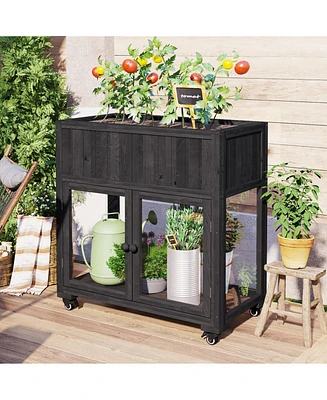 Mini Wood Frame Greenhouse