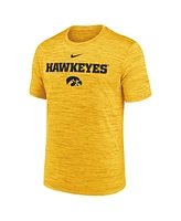 Nike Men's Gold Iowa Hawkeyes 2025 Sideline Velocity Performance T-Shirt