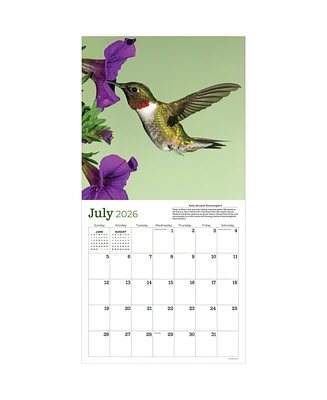 2026 Backyard Birds Wall Calendar