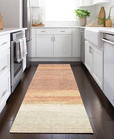 Addison Chantille Machine Washable ACN1274 2'3"x7'6" Runner Area Rug