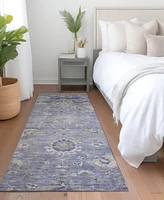 Addison Chantille Machine Washable ACN1372 2'3"x7'6" Runner Area Rug