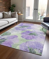 Addison Chantille ACN1554 3'x5' Area Rug