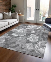 Addison Chantille Machine Washable ACN1562 5'x7'6" Area Rug
