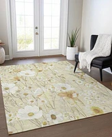 Addison Chantille Machine Washable Acn1505 Area Rug Collection