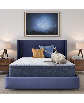 Serta Dream Haven 12" Plush Pillow Top Mattress in a Box
