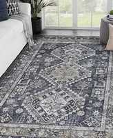 Amer Rugs Alaska Machine Washable Ala9 Rug Collection