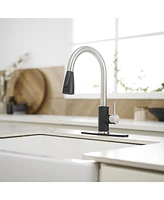 Greenspring Single-Handle Pull-Out Sprayer Kitchen Faucet with Supply Lines Matte Black and Brushed Nickel