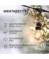 Ambience Pro 48 ft. Indoor/Outdoor Led Weatherproof 2-Watt String Lights with Warm White Hue