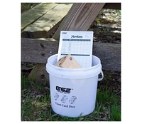 Gse Games & Sports Expert 3.5-Inch Premium Oak Giant Yard Dice Set with Bucket and Yardzee & Farkle Scorecard.