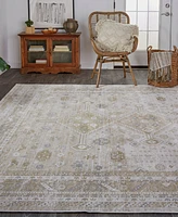 Feizy Aura 3738F 3'11"x6' Area Rug