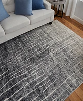 Feizy Kano 39LIF 2'2"x3' Area Rug