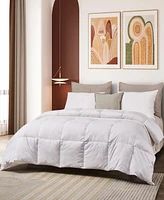 Beautyrest Natural Feather and Down Blend Comforter