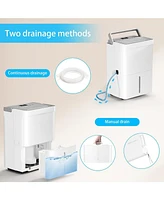 Zafro 80 Pint Dehumidifier for 8000 Sq. Ft., Powerful & Quiet Moisture Removal, Energy Efficient – Ideal for Basement, Bedroom, Bathroom, Home