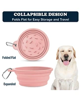 Slow-Feeder, Non-Skid, Bpa-Free Silicone Travel Dog Bowl