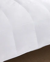 Nikki Chu 300-Thread Count Down Comforter
